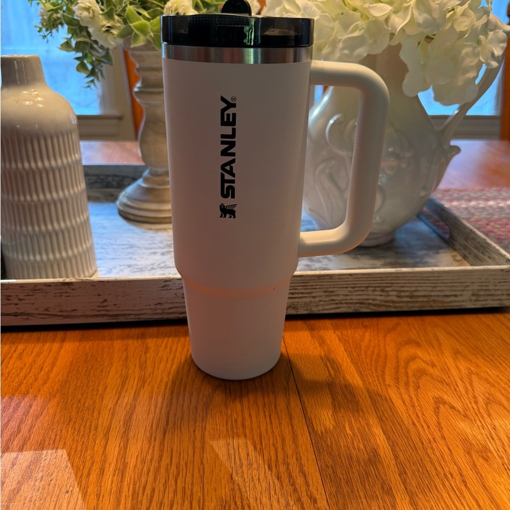 Stanley Pro Tour 30 OZ (Chalk)